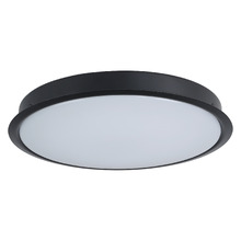 Currumbin LED Light Kit